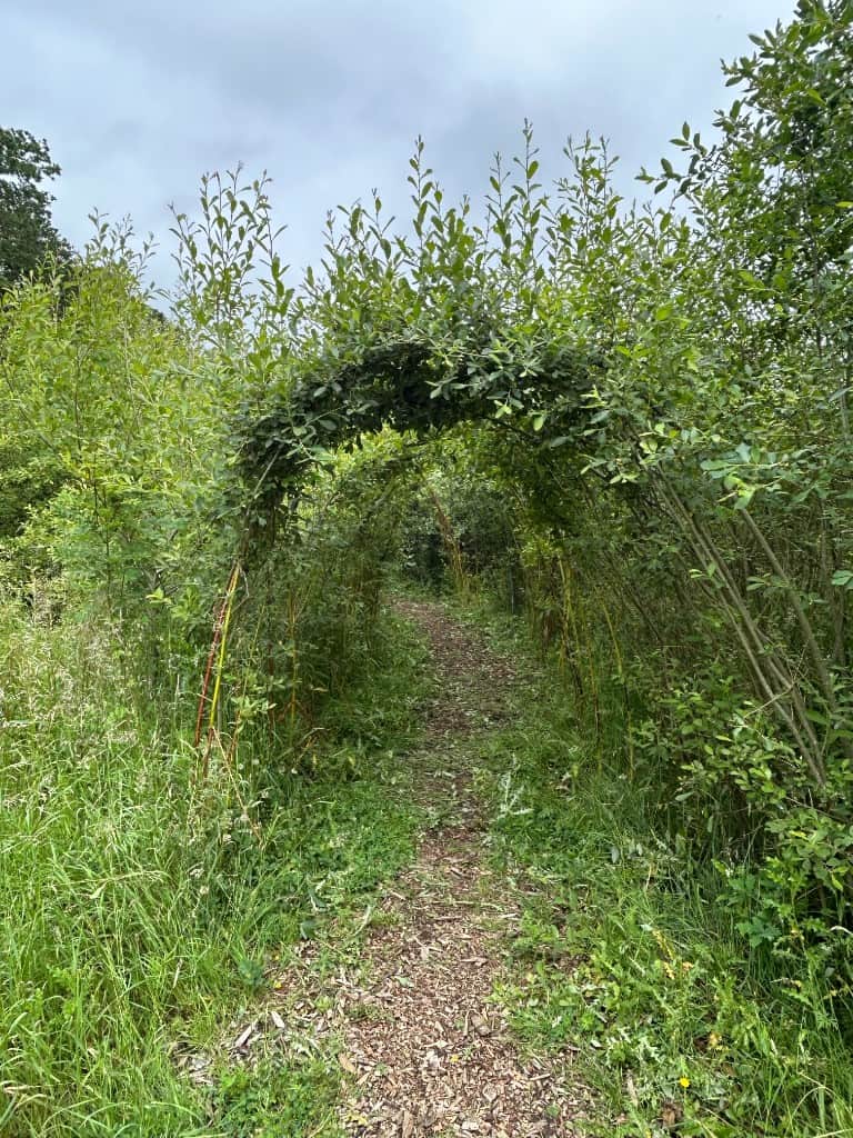 Anxiety and Avoidance: The Comfort Zone Trap