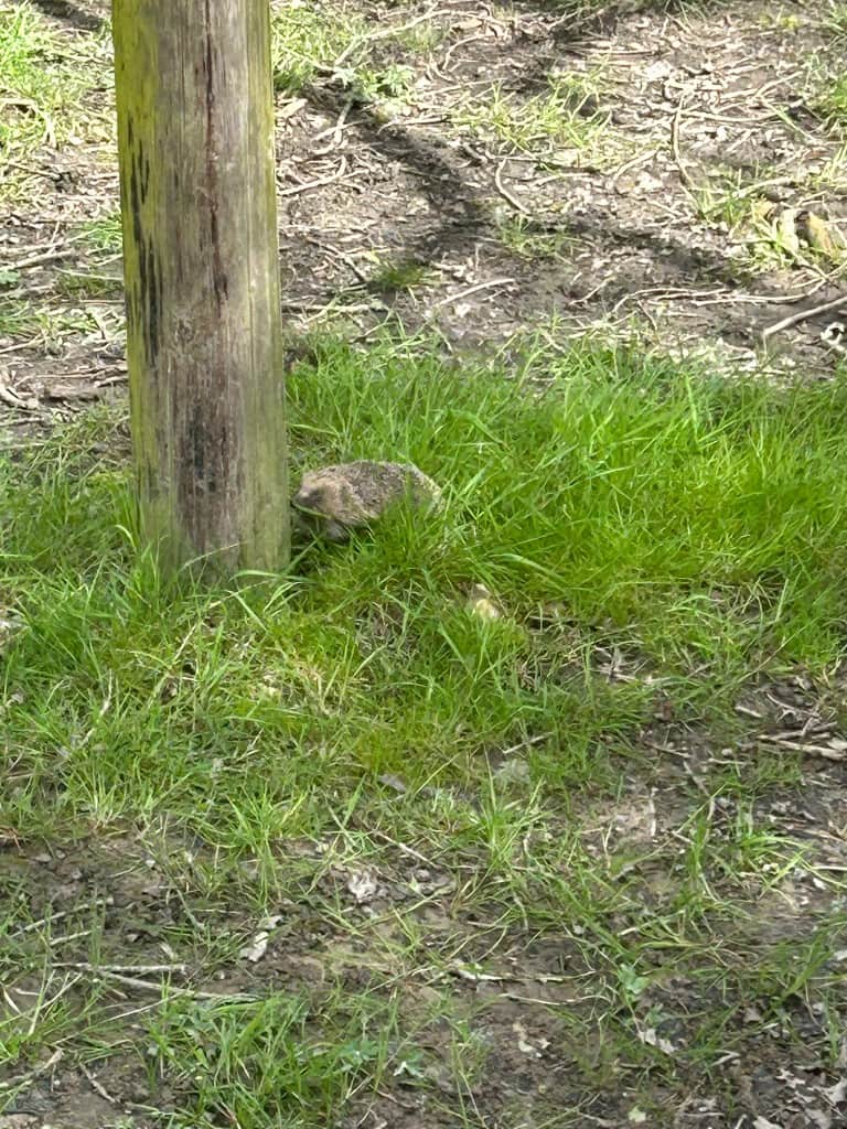 Anxiety in Young People: What Parents and Teachers Need to Know