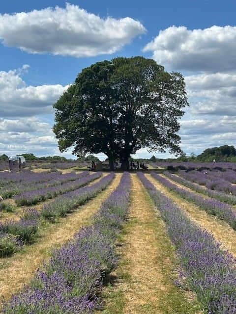 Guest blog by Rebecca Stone - atypical anorexia