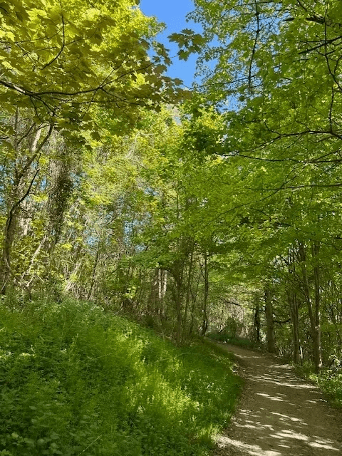 Mental Health Awareness Week 2025