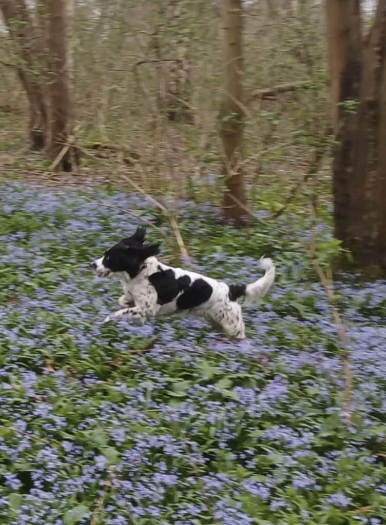 Neurodivergent Young People: Thriving, Not Just Surviving School