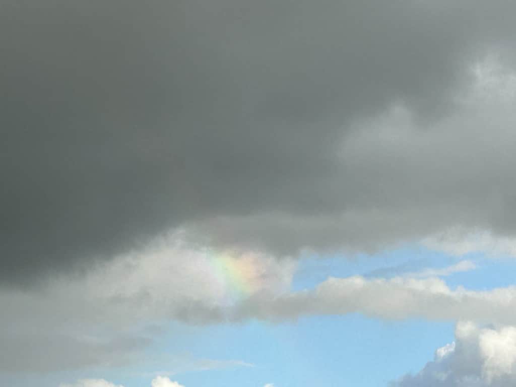 What Is Normal Teenage Behaviour and What Is a Mental Health Concern?