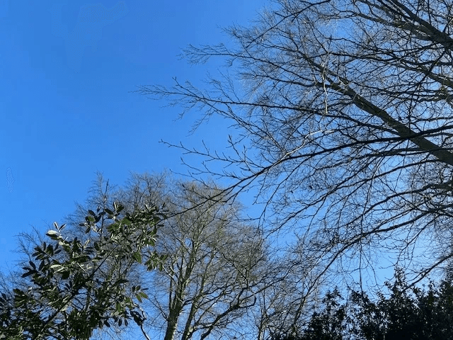 Self-Injury Awareness Day