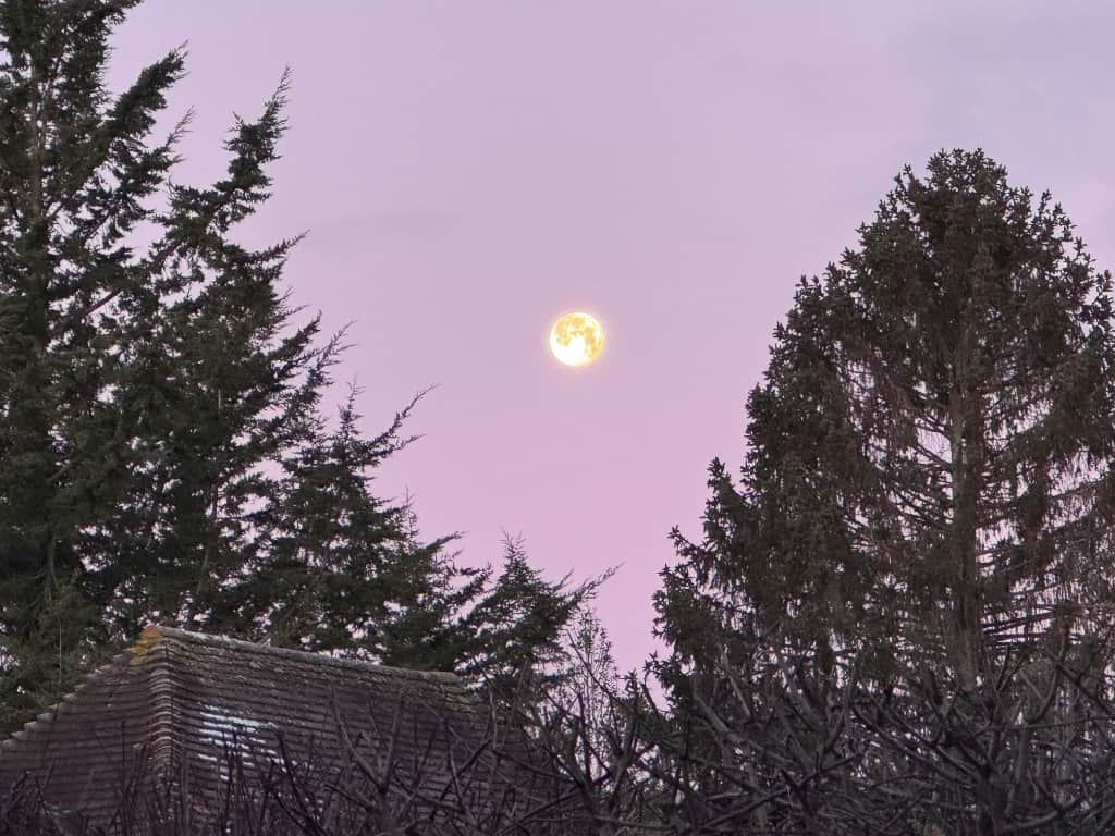 You Cannot Sleep Your Way Out of a Life That Exhausts You