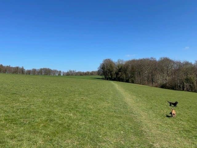 Rediscovering Running