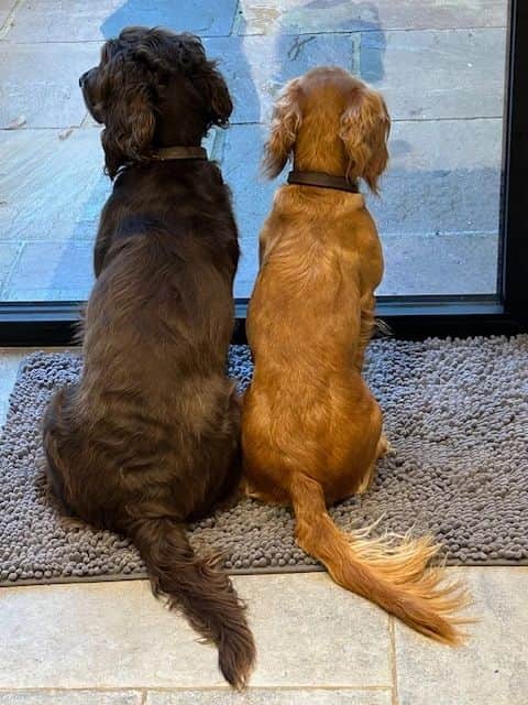 Time to Talk Day 2025