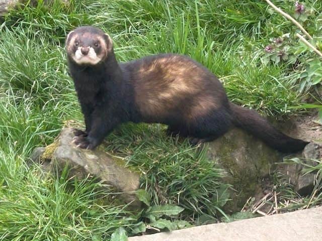 Children's Mental Health Week 2025