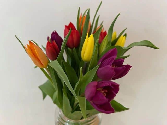 Stress Awareness Month